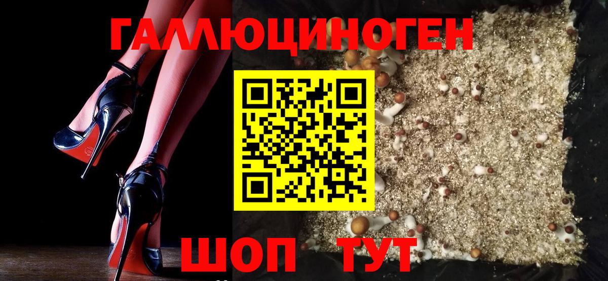 Псилоцибиновые грибы Cubensis  Вход с VPN  Губаха 
